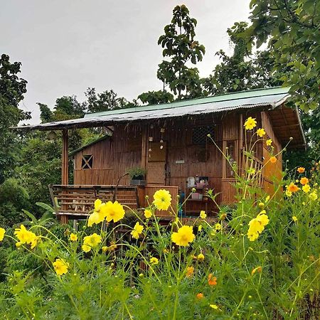 Baan 2 Dao Farmstay Chiang Dao Exterior photo
